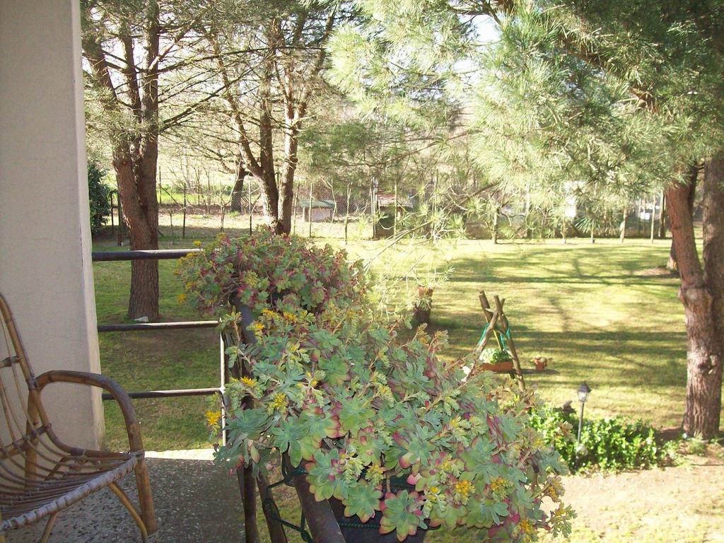 Bucine Campo Alle Monache الغرفة الصورة