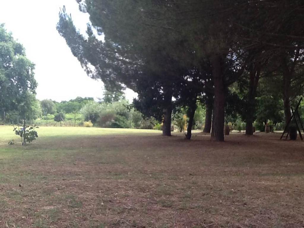 Bucine Campo Alle Monache المظهر الخارجي الصورة