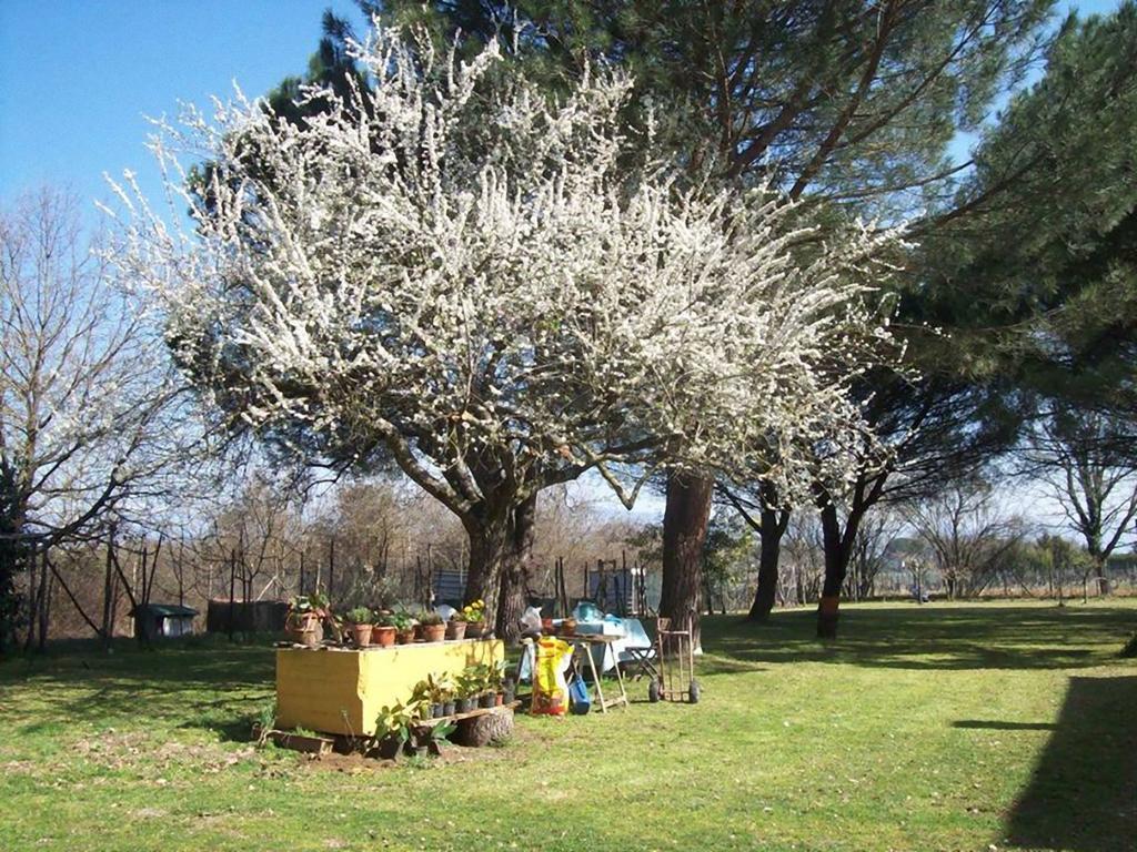 Bucine Campo Alle Monache المظهر الخارجي الصورة