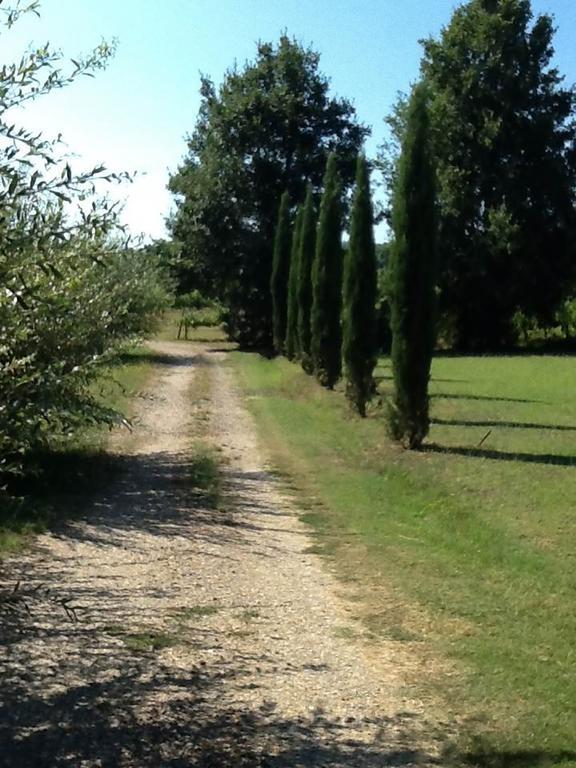 Bucine Campo Alle Monache المظهر الخارجي الصورة