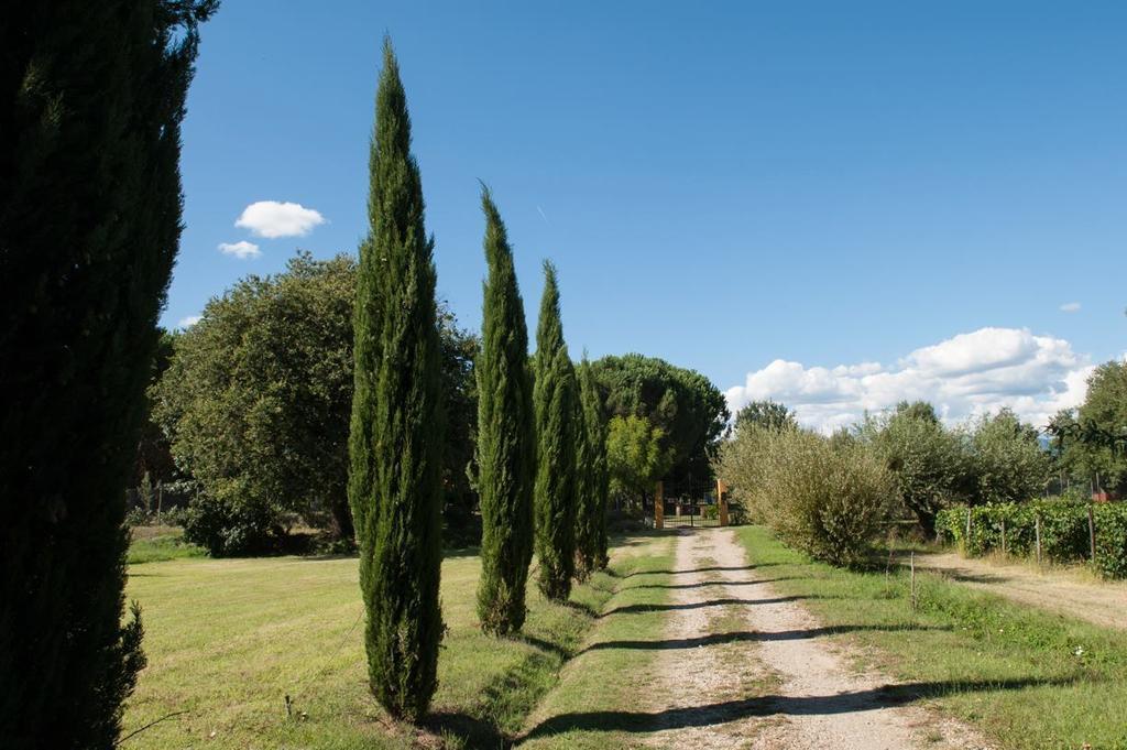 Bucine Campo Alle Monache المظهر الخارجي الصورة