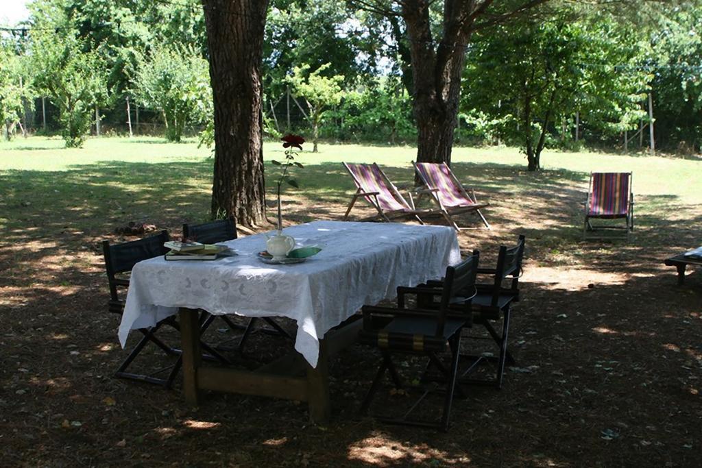 Bucine Campo Alle Monache المظهر الخارجي الصورة