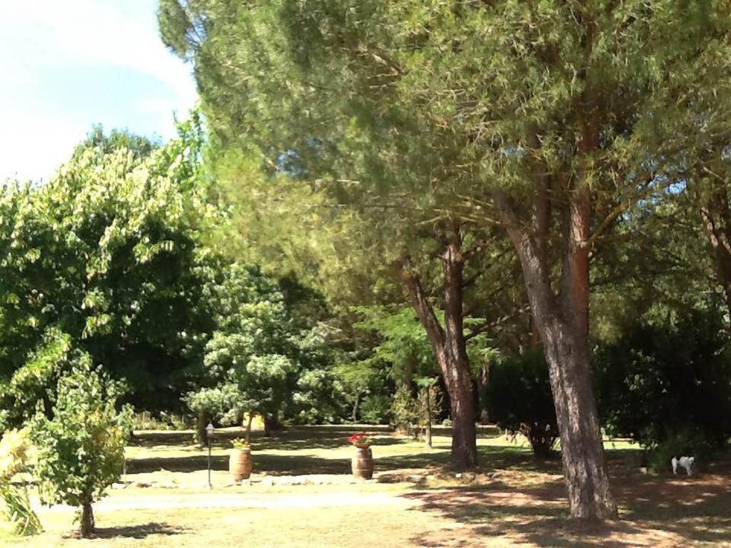 Bucine Campo Alle Monache المظهر الخارجي الصورة